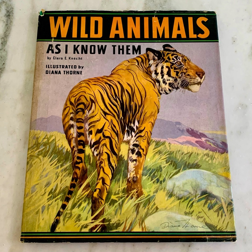Vintage Wild Animals As I Know Them Large Picture Book 1933!!